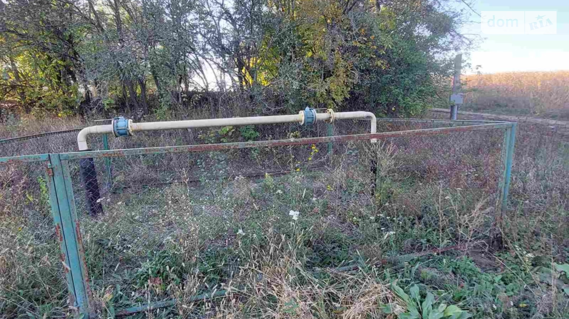 вулиця Миру Никифоровцы, цена: 5000 $ - фото 4