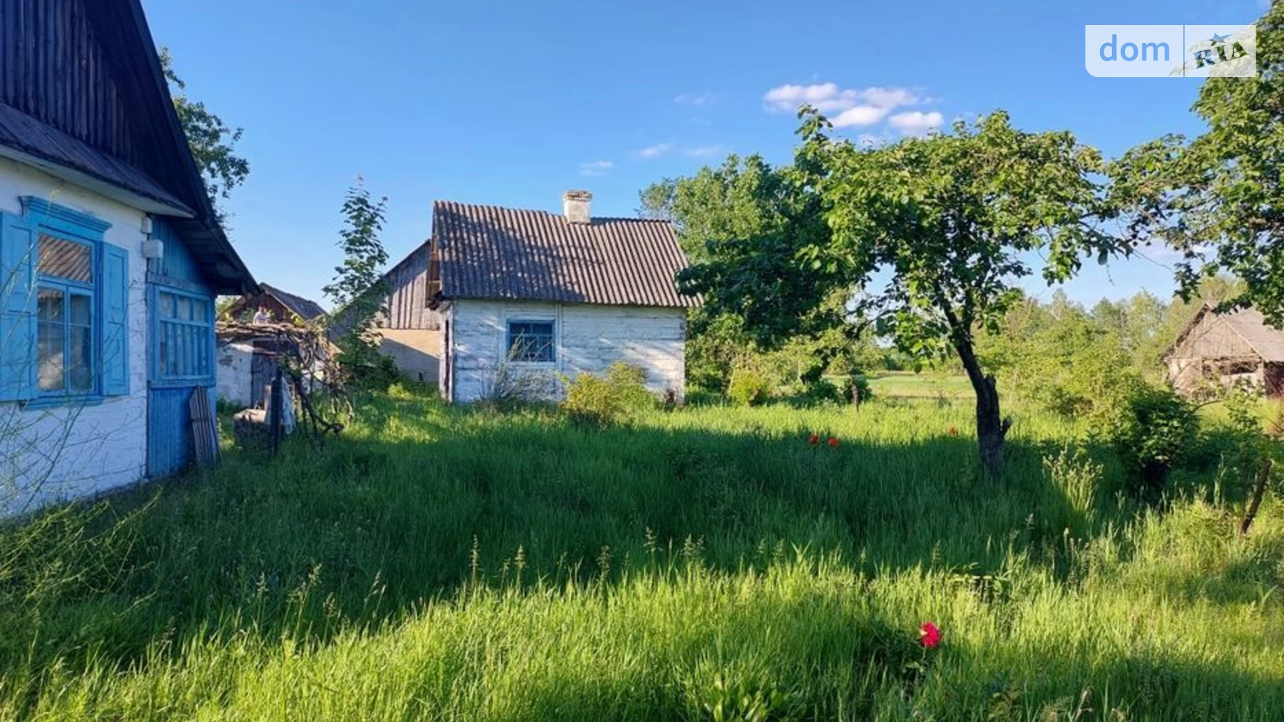 Продається одноповерховий будинок 75.5 кв. м з каміном, цена: 14000 $ - фото 3