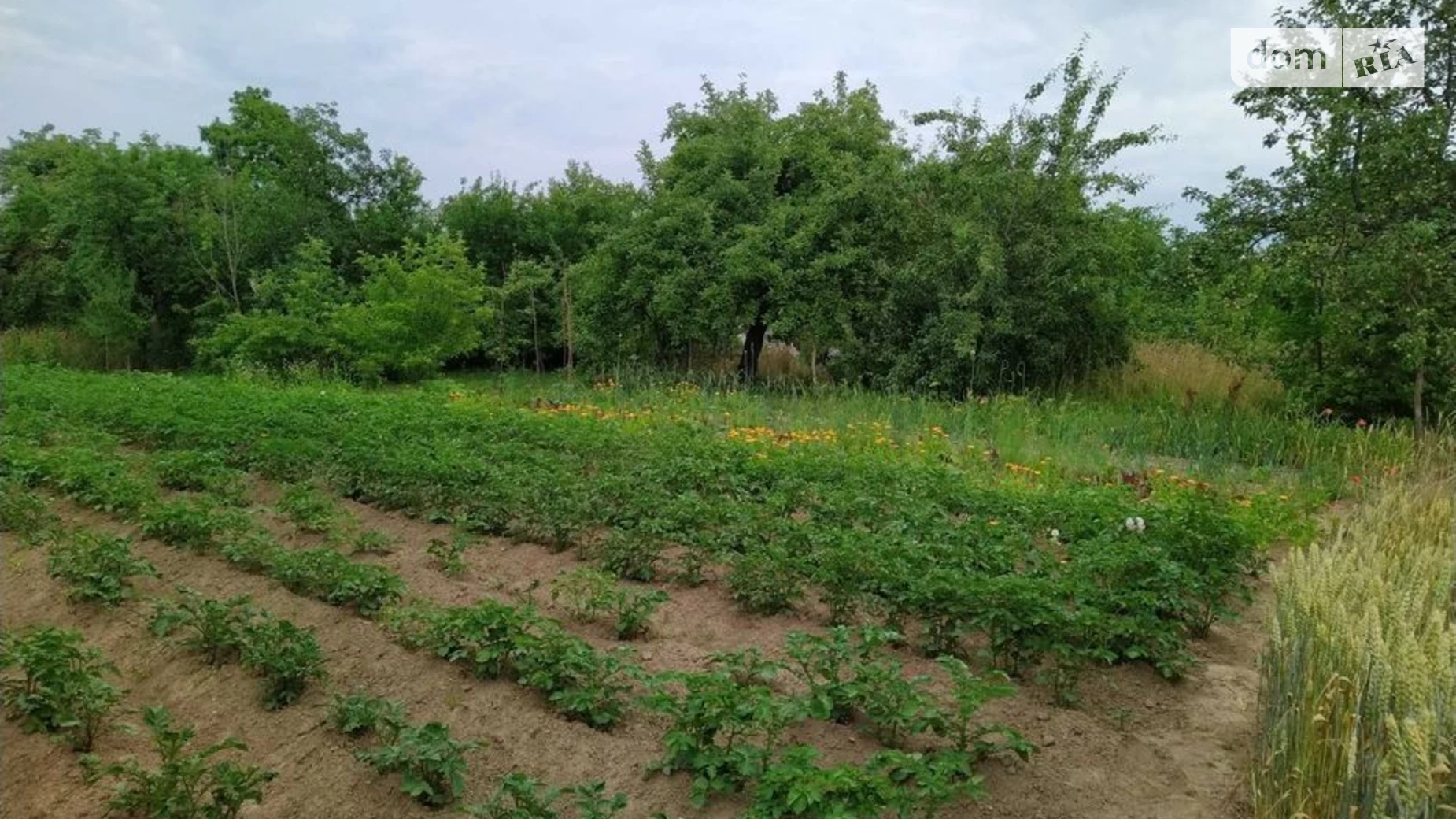 Продается одноэтажный дом 74.9 кв. м с подвалом, цена: 35000 $ - фото 4