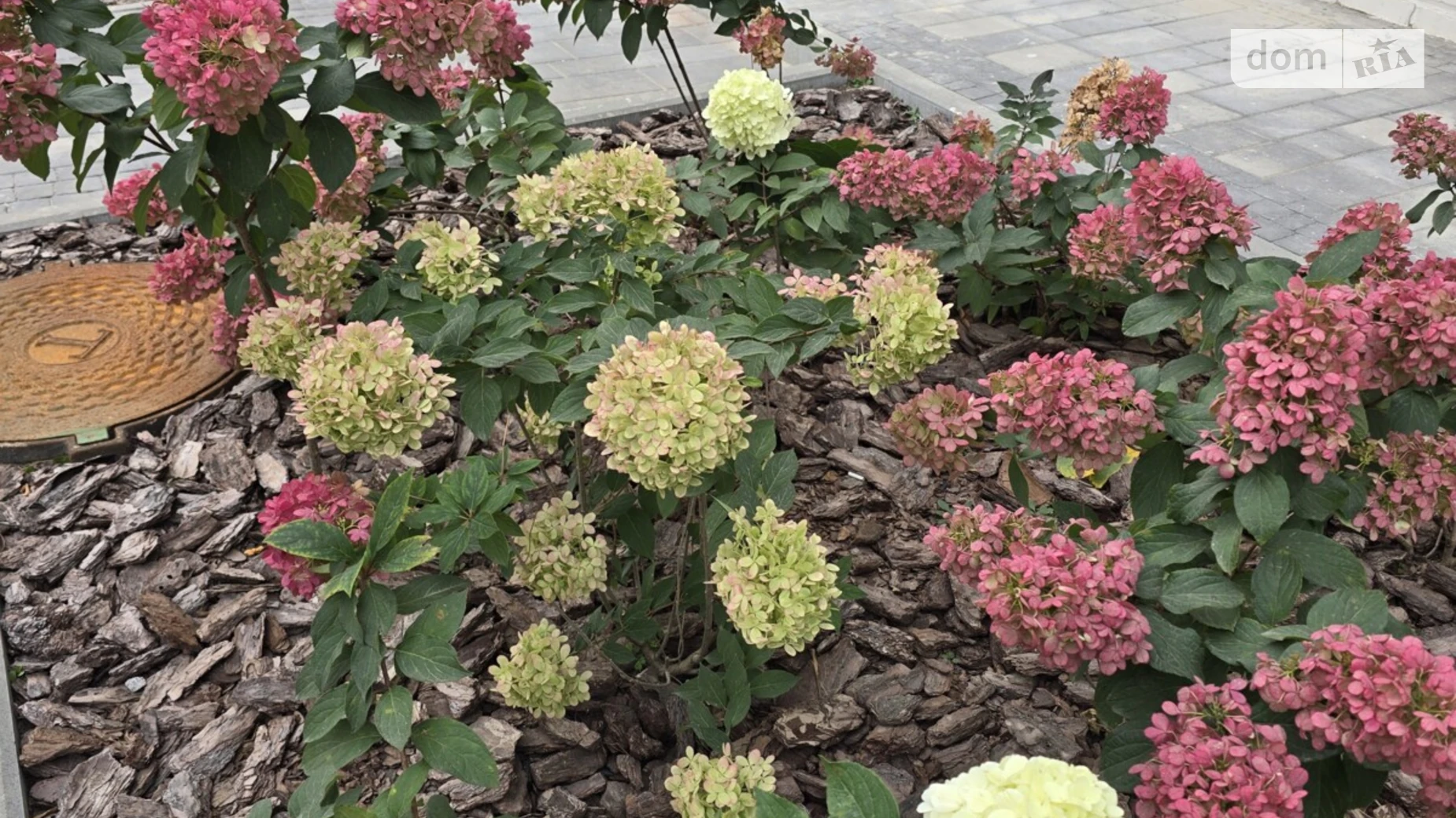 Продається 1-кімнатна квартира 43 кв. м у Ірпені, вул. Соборна(ІІІ Інтернаціоналу), 2К/3 - фото 3