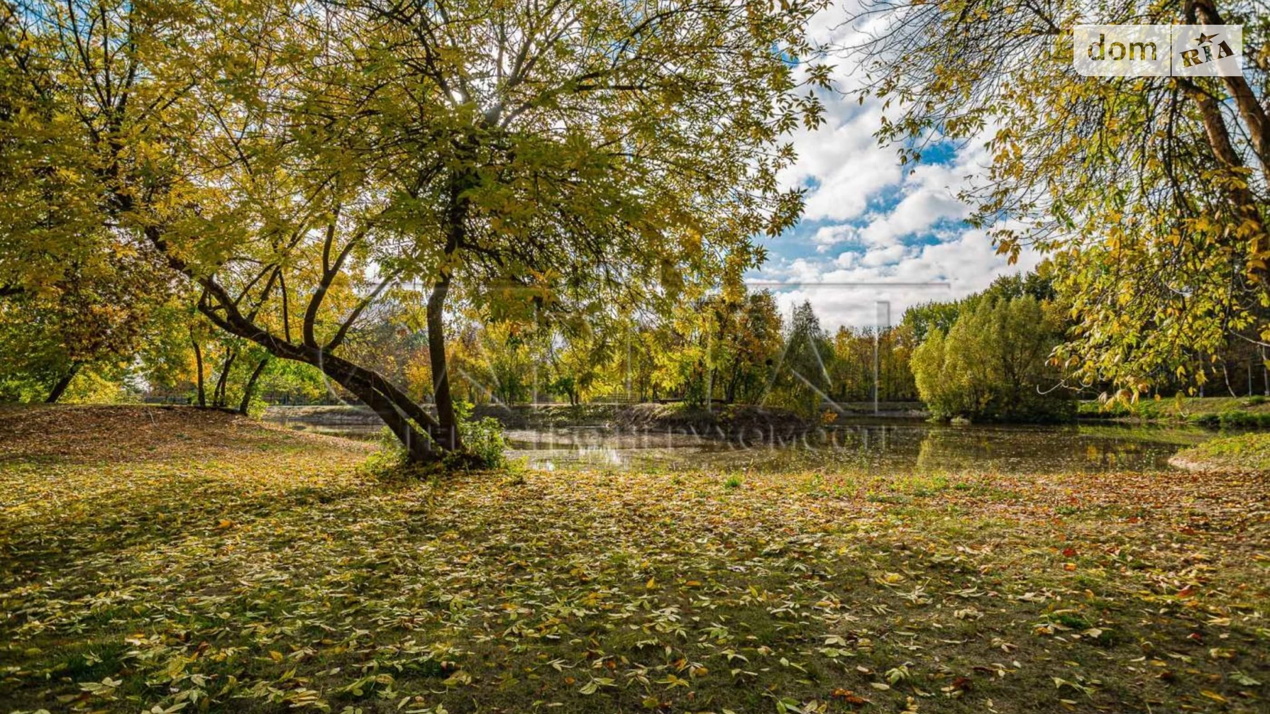 Продается одноэтажный дом 224.81 кв. м с подвалом, цена: 300000 $ - фото 3