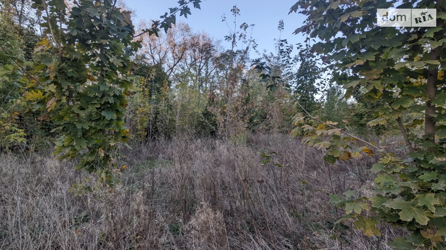Гніванське шосе Бохоники, цена: 18000 $ - фото 4