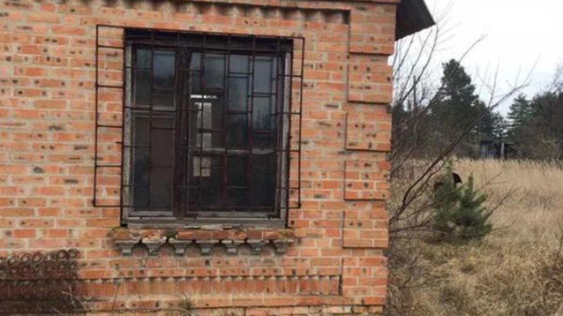 Продается одноэтажный дом 30 кв. м с беседкой, цена: 3000 $ - фото 4