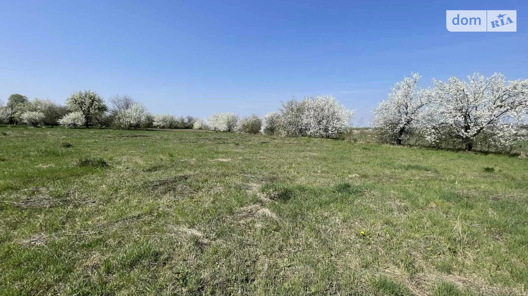 Продается земельный участок 32.99 соток в  области, цена: 23000 $ - фото 2