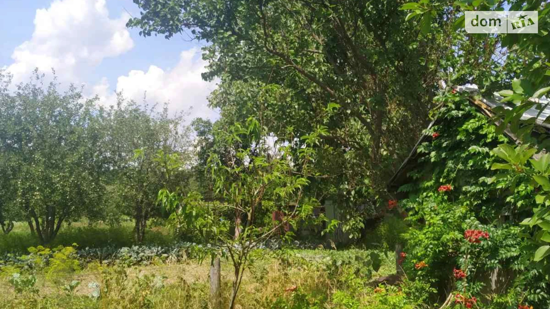 Продается земельный участок 5 соток в Винницкой области, цена: 1000 $ - фото 5
