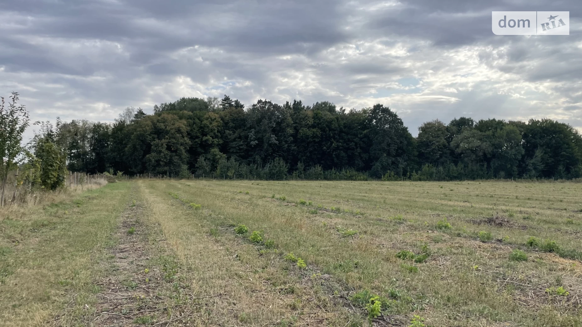 Продається земельна ділянка 24 соток у Вінницькій області, цена: 84000 $ - фото 3