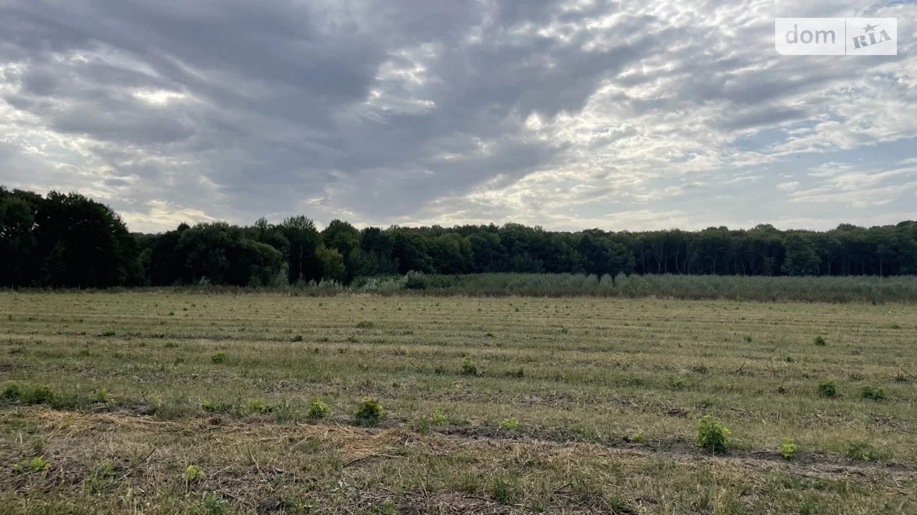Продається земельна ділянка 24 соток у Вінницькій області, цена: 84000 $ - фото 4