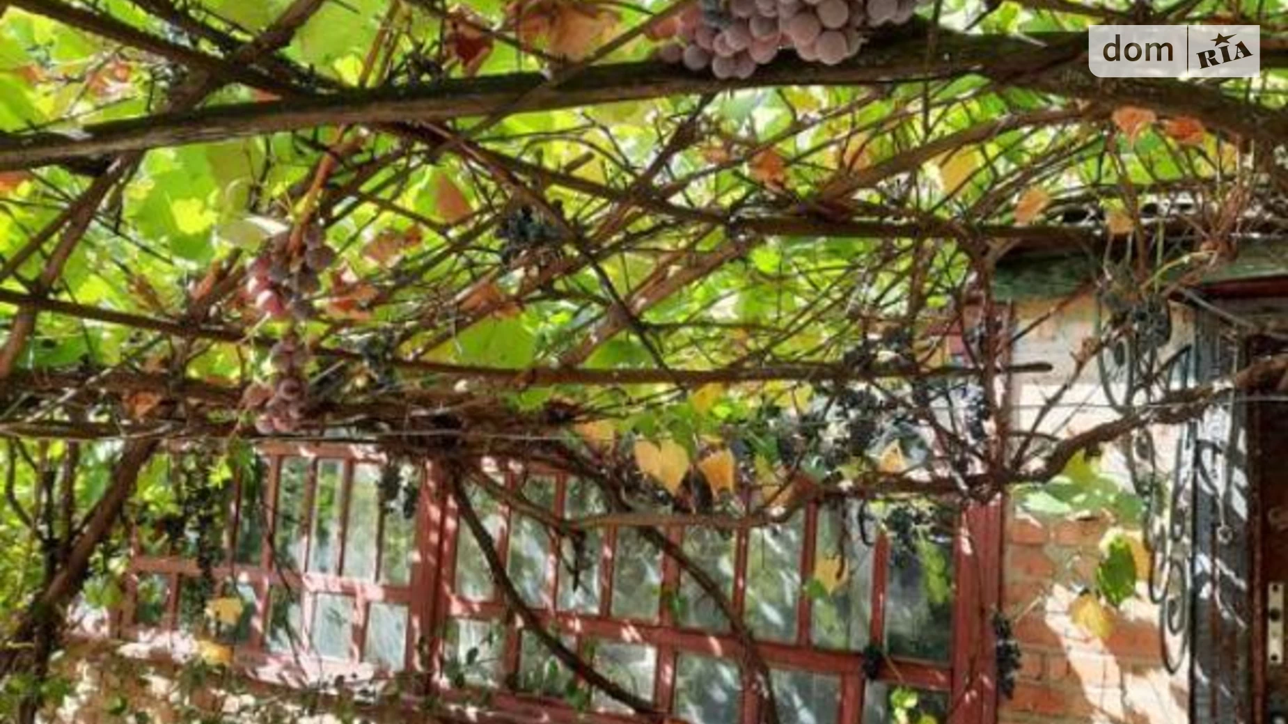 вул. Полтавська Новоселівка, цена: 23000 $ - фото 5