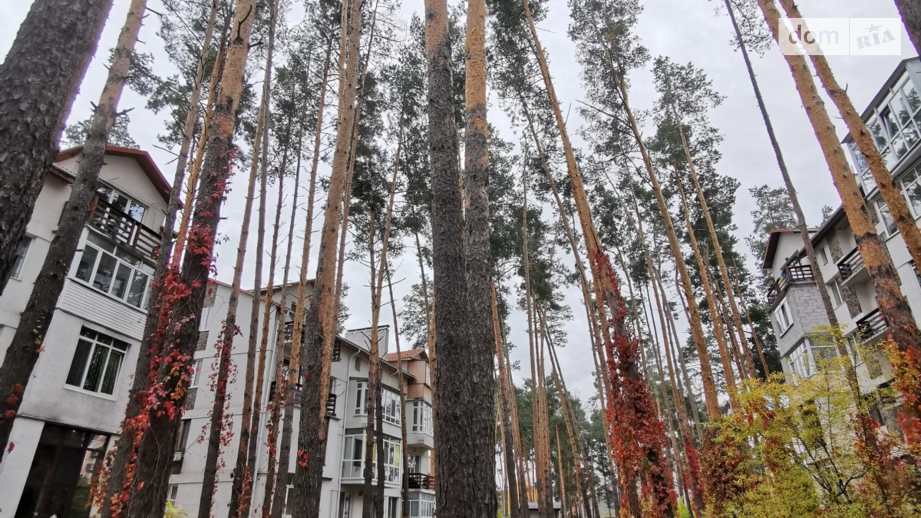 Продается 2-комнатная квартира 56.6 кв. м в Ирпене, ул. Ерощенко(Островского), 12В - фото 5