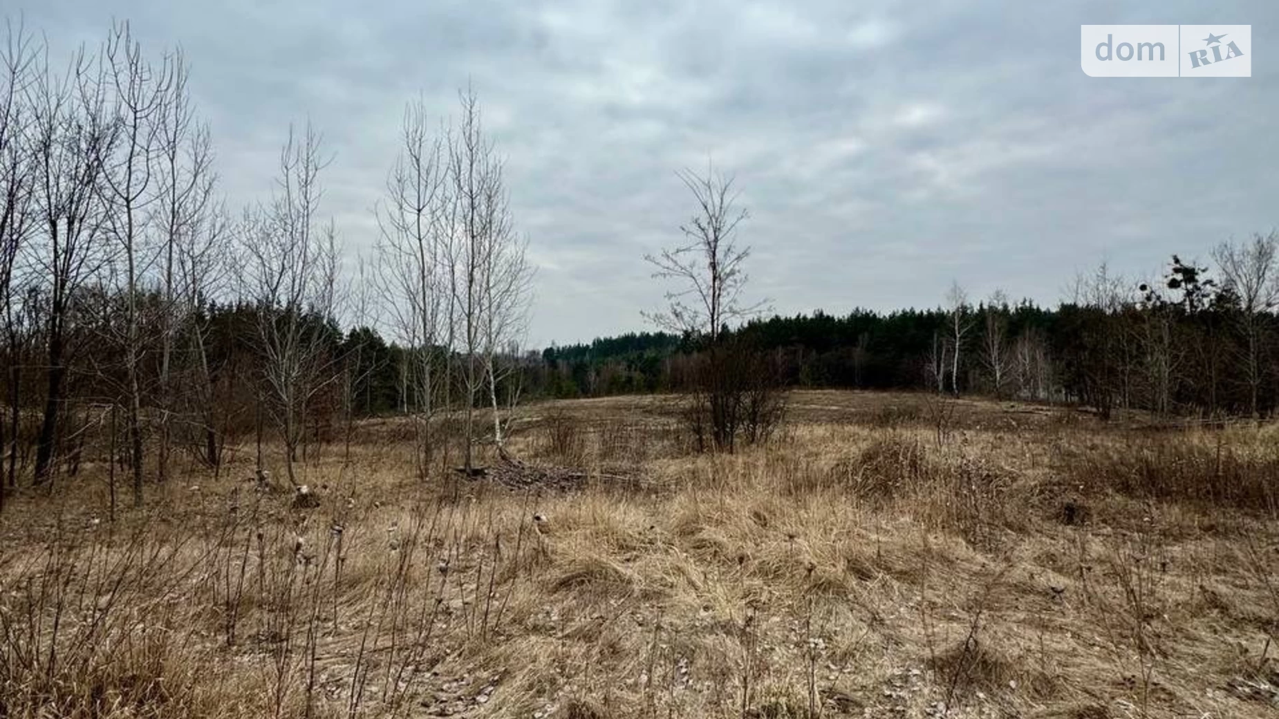 вул. Черешнева Гореничі, цена: 46000 $ - фото 4