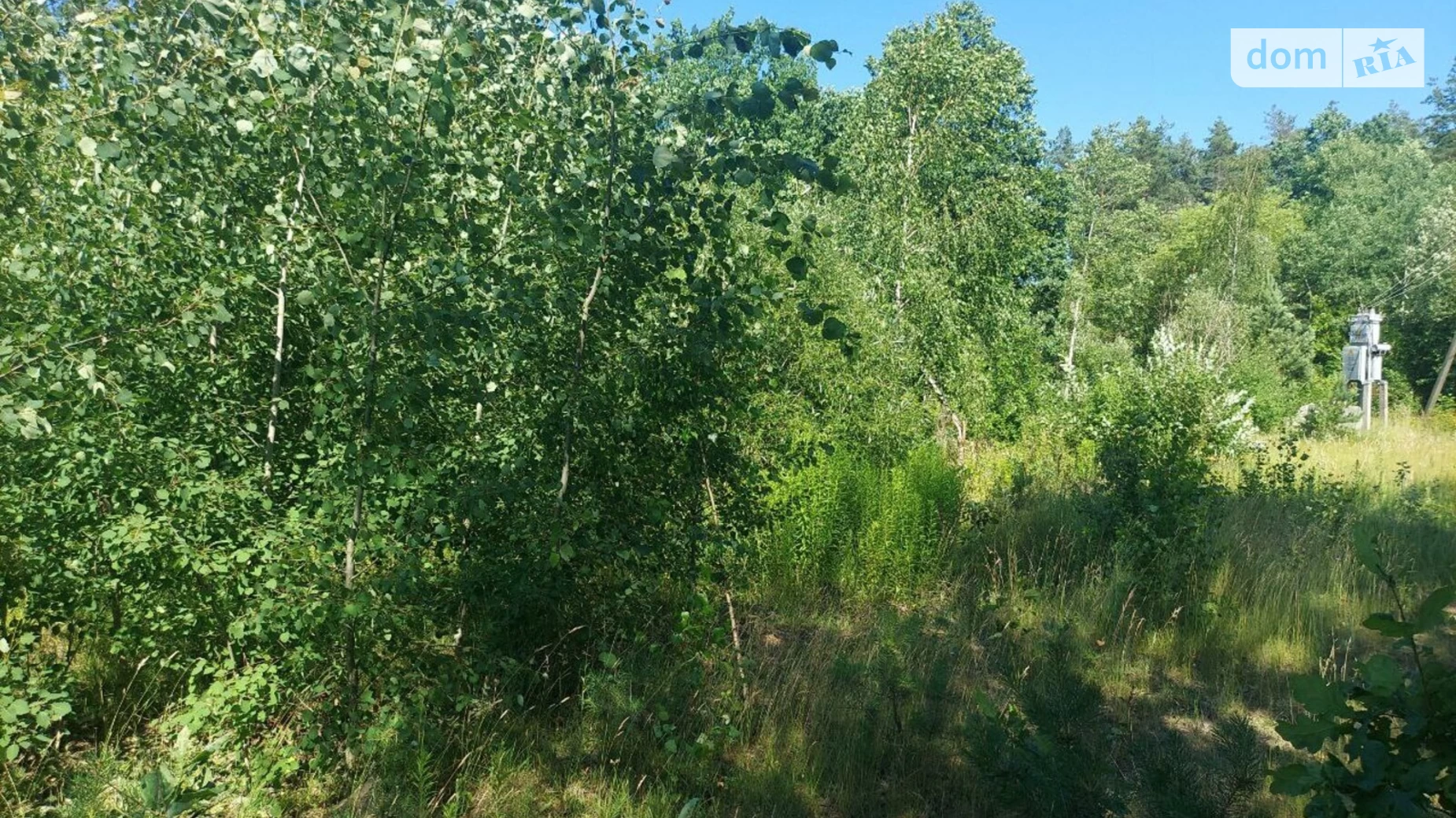 Продается земельный участок 20 соток в Житомирской области, цена: 12500 $ - фото 2