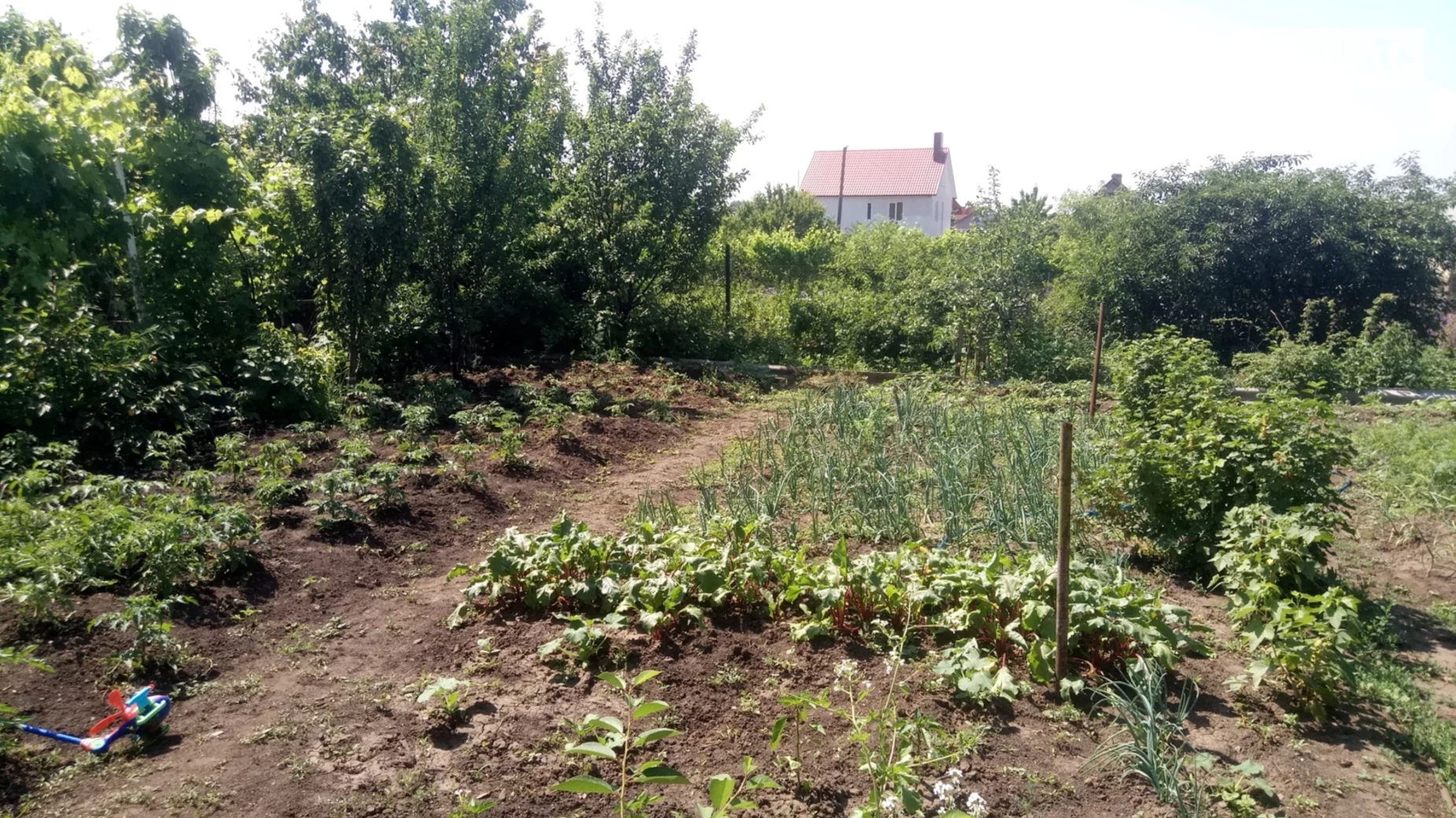 Продается дом на 2 этажа 360 кв. м с террасой, цена: 135000 $ - фото 4