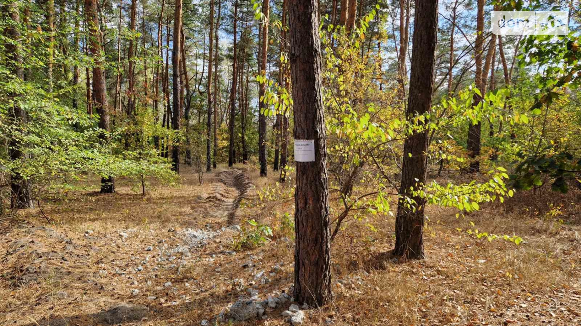 Продается земельный участок 25 соток в Днепропетровской области, цена: 15000 $ - фото 2