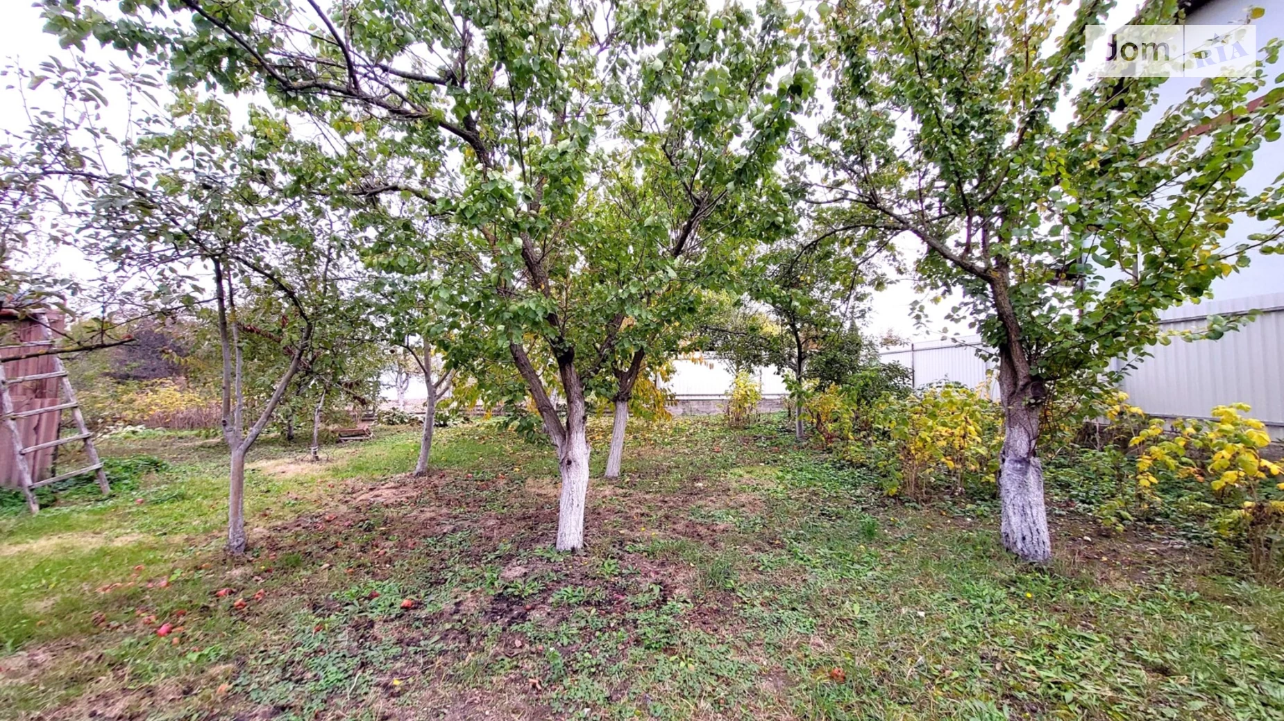Продается одноэтажный дом 66 кв. м с подвалом, цена: 99900 $ - фото 3