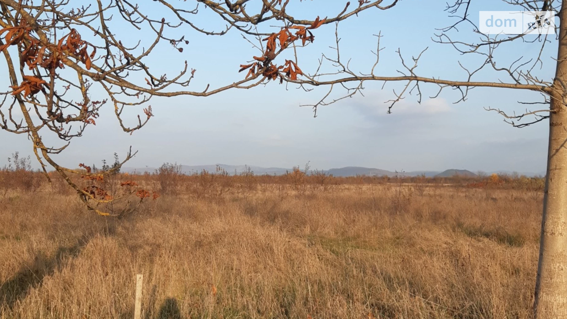 уроч. Руськополівське Буштино, цена: 40000 $ - фото 3