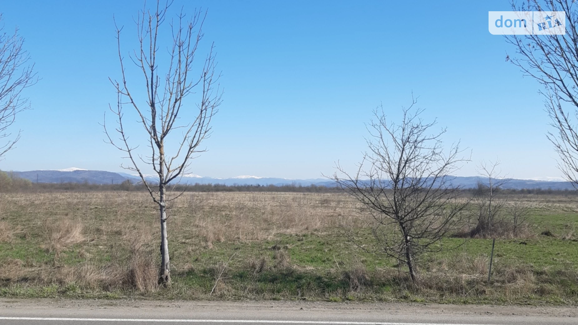 уроч. Руськополівське Буштино, цена: 40000 $ - фото 4