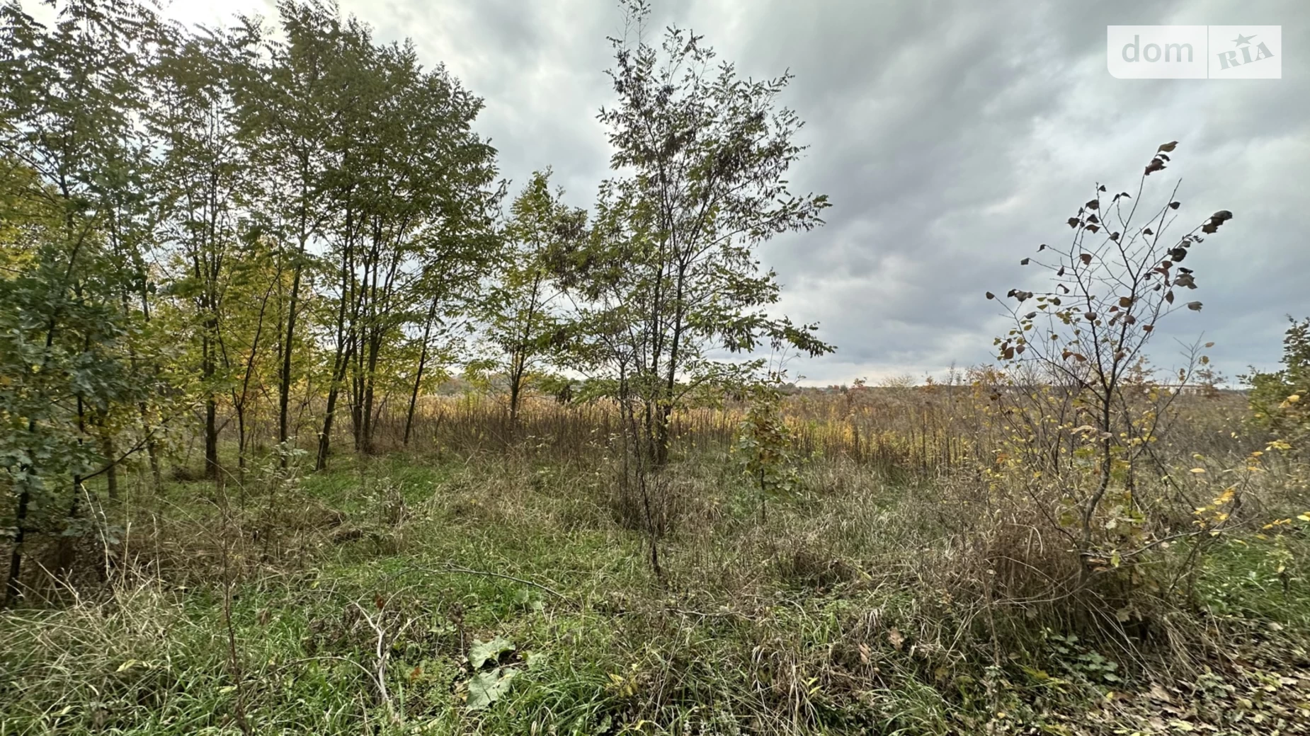 ул. Заречная Новая Бохоники, цена: 18000 $ - фото 3