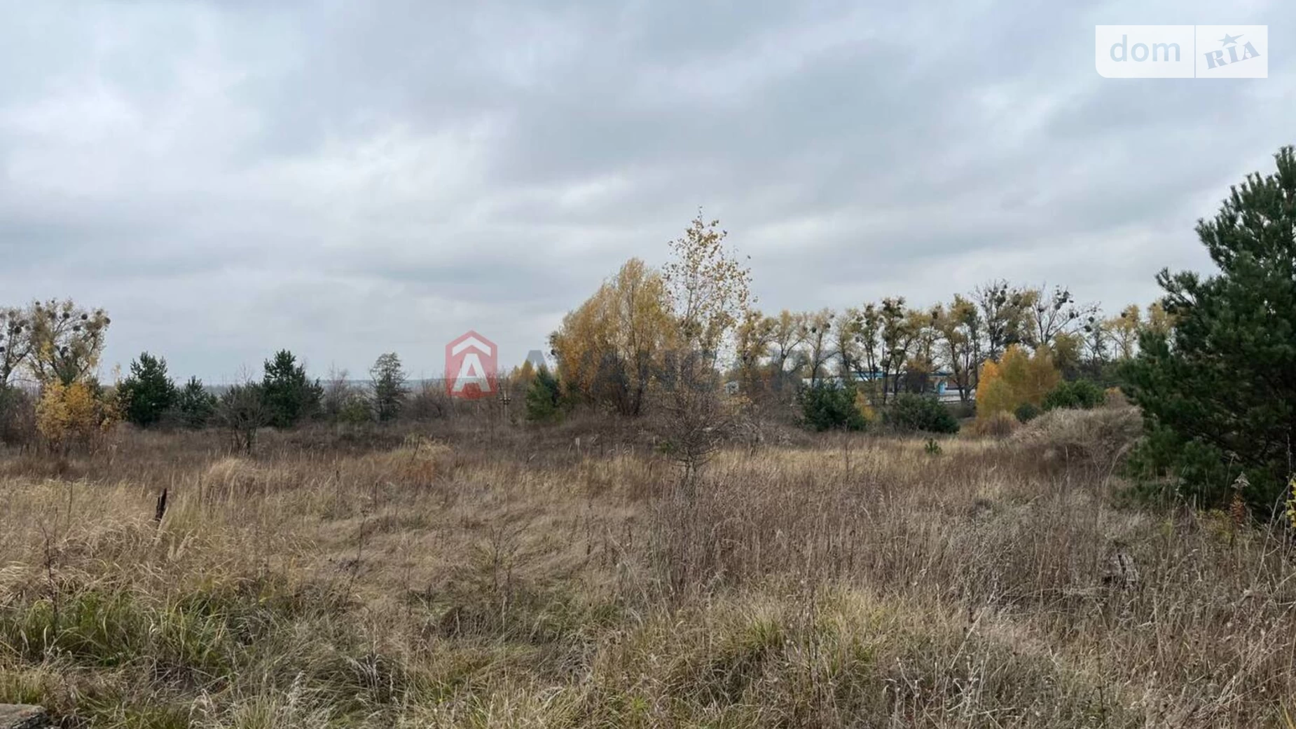 Продается земельный участок 475.63 соток в Киевской области, цена: 285378 $ - фото 5