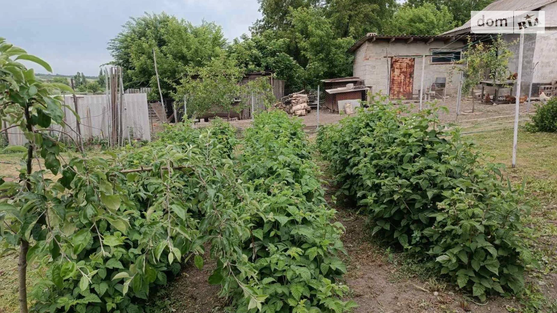 Вільне (Синельникове), цена: 17500 $ - фото 4