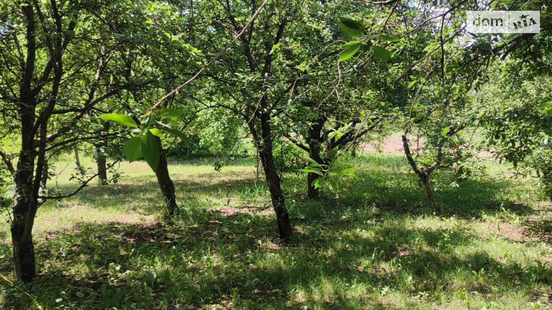 Продается дом на 2 этажа 171.5 кв. м с подвалом, цена: 42500 $ - фото 4