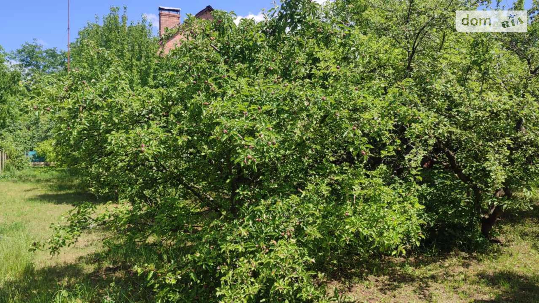 Продается дом на 2 этажа 171.5 кв. м с подвалом, цена: 42500 $ - фото 5