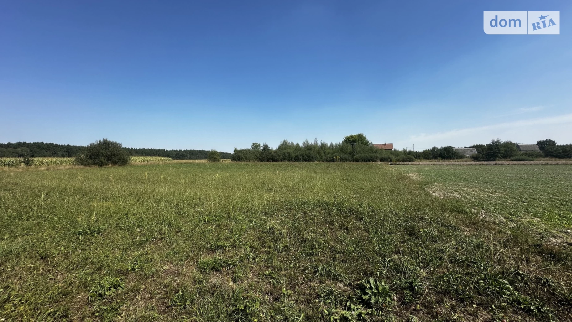 Продается земельный участок 20 соток в Житомирской области, цена: 4300 $ - фото 4