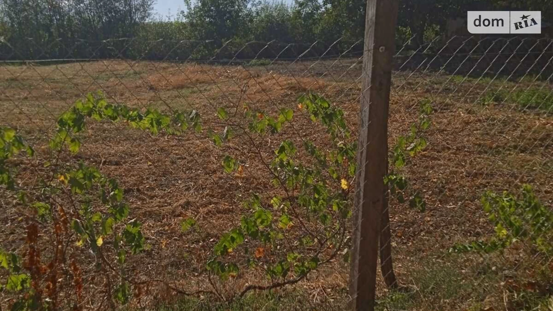 Глибочок, цена: 10000 $ - фото 2