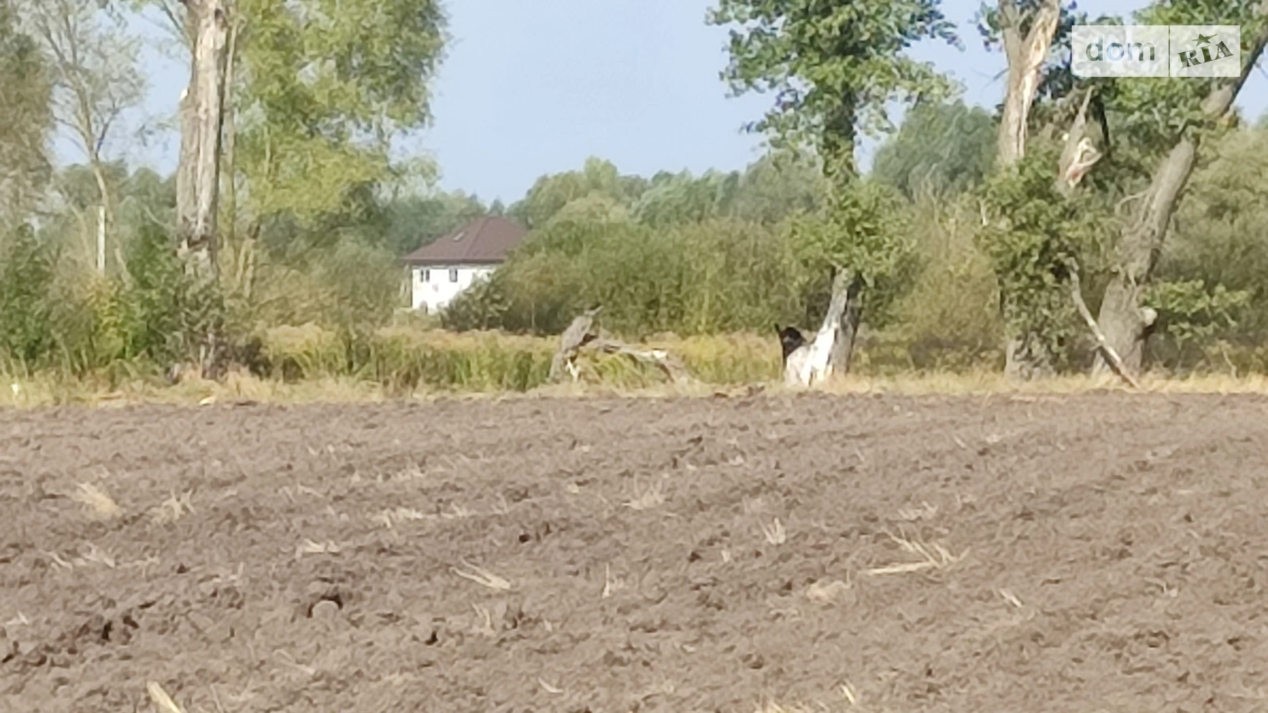 Требухов, цена: 20000 $ - фото 3