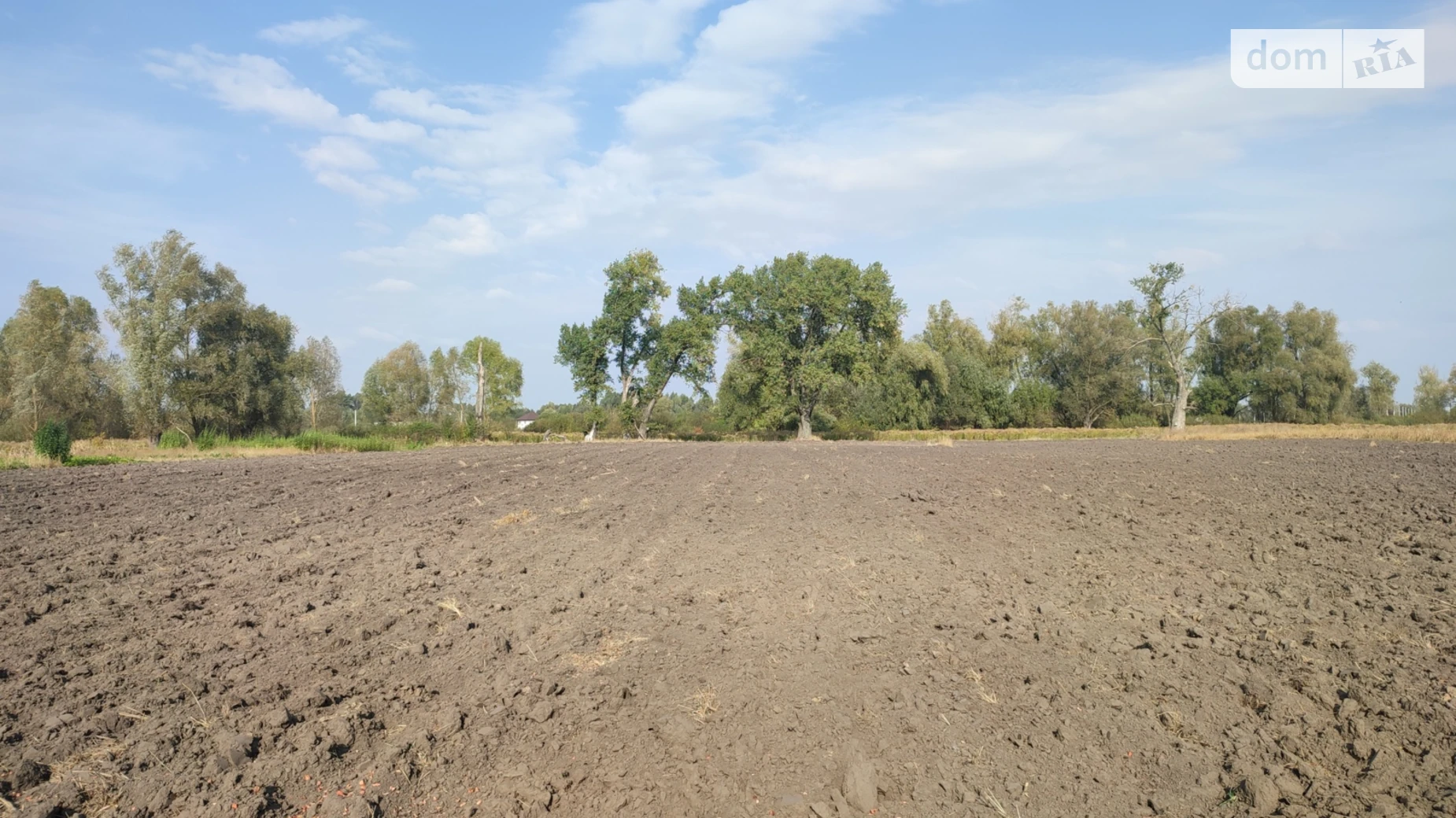 Требухов, цена: 20000 $ - фото 2