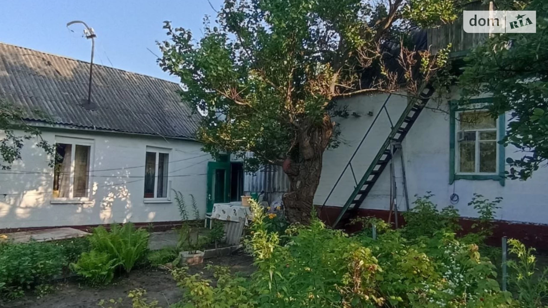 Продається одноповерховий будинок 86 кв. м з терасою, цена: 48000 $ - фото 2