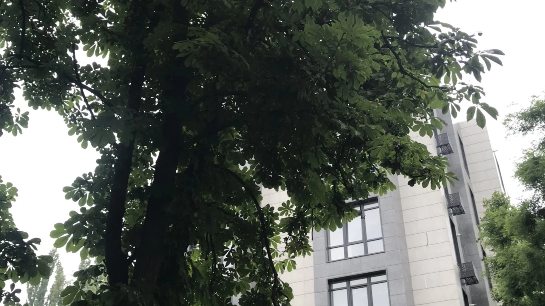 Продається 1-кімнатна квартира 40 кв. м у Одесі, вул. Космонавтів, 23К - фото 3