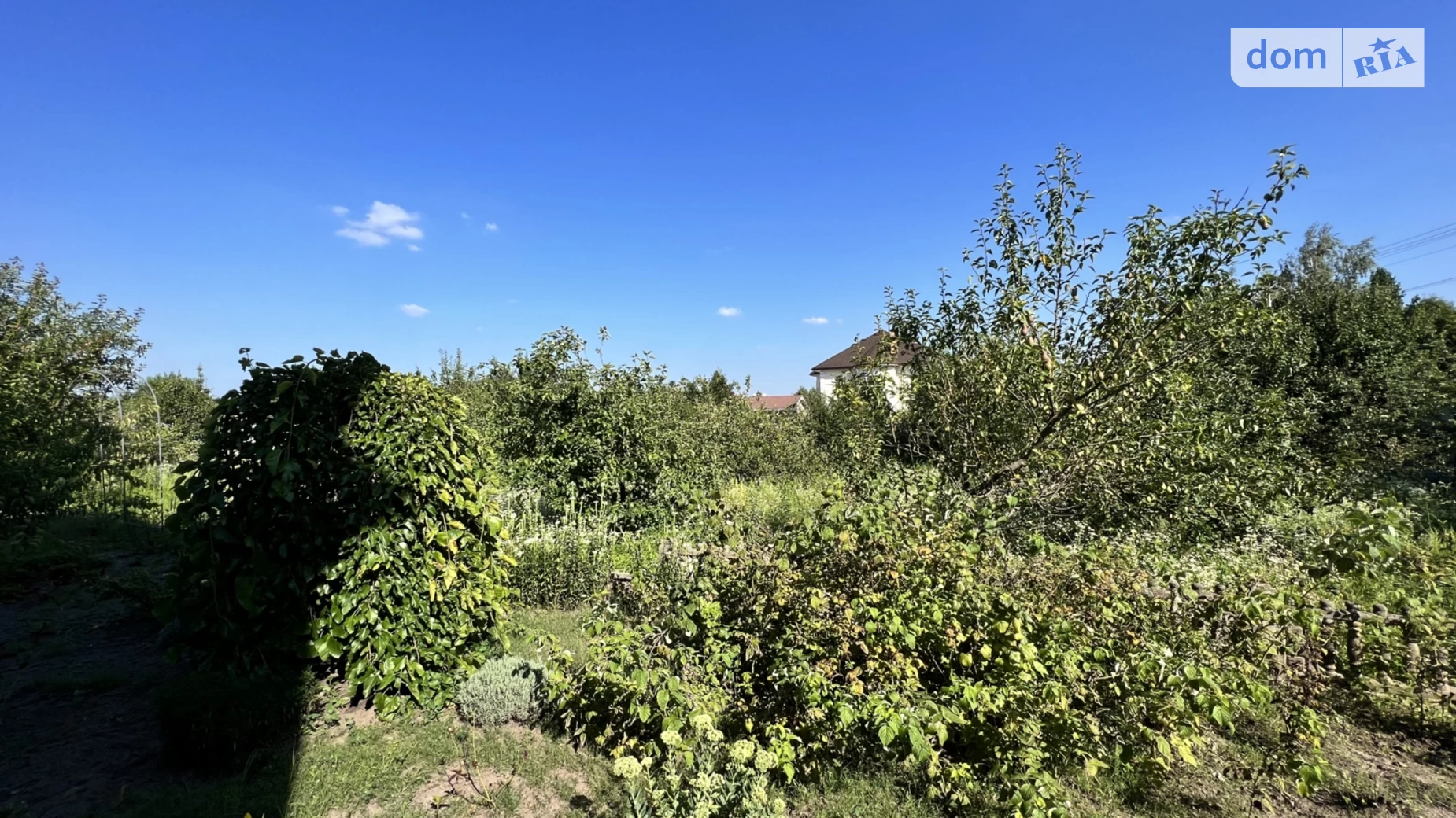 Продається будинок 2 поверховий 301.8 кв. м з ділянкою, цена: 210000 $ - фото 5