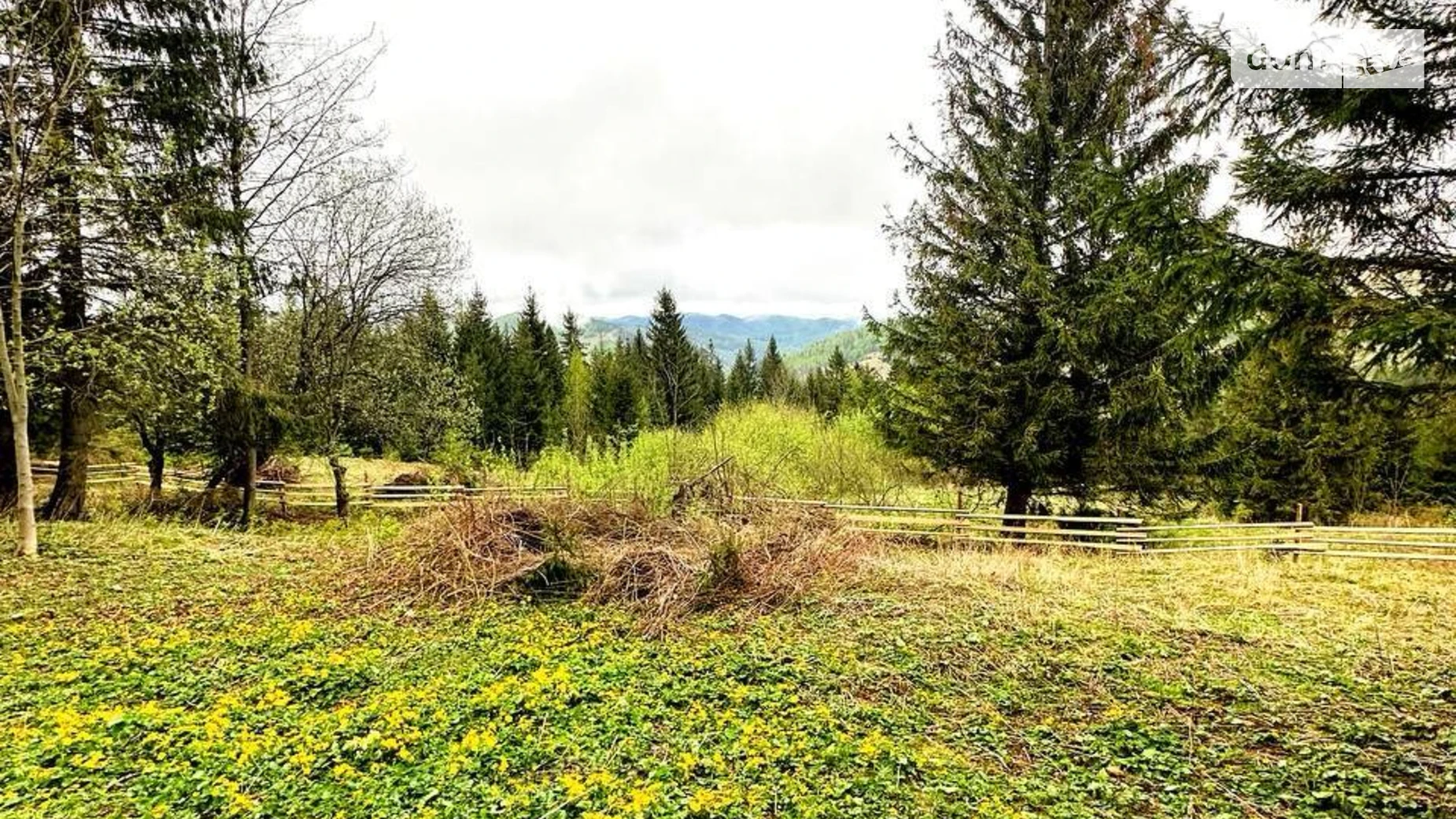 Продається земельна ділянка 70 соток у Івано-Франківській області, цена: 55000 $ - фото 5