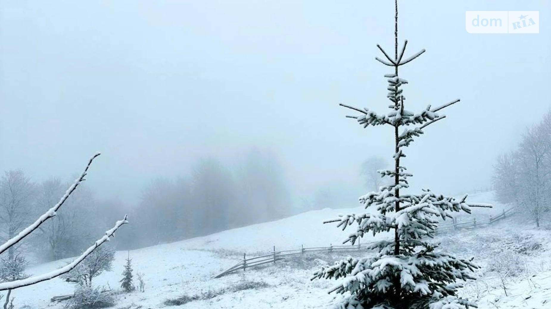 Продається земельна ділянка 70 соток у Івано-Франківській області, цена: 55000 $ - фото 2