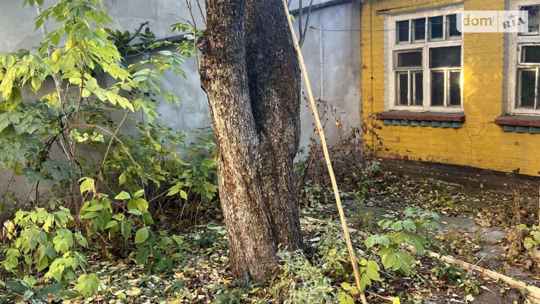 Продается часть дома 29.5 кв. м с террасой, цена: 25000 $ - фото 4