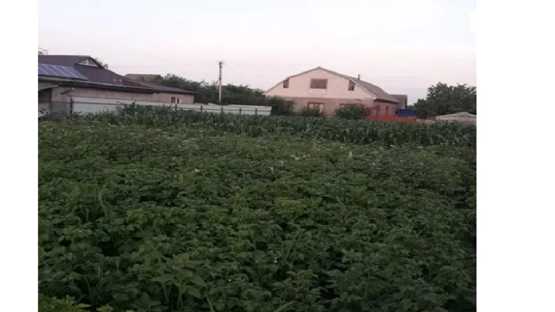 пров. Садовий Червона Слобода, цена: 15000 $ - фото 4