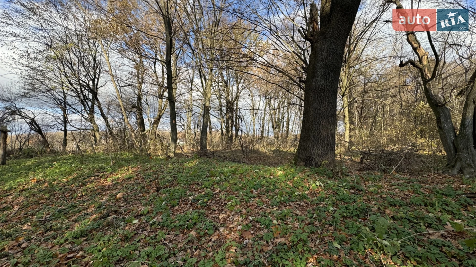 Продається земельна ділянка 33 соток у Тернопільській області, цена: 145000 $ - фото 2