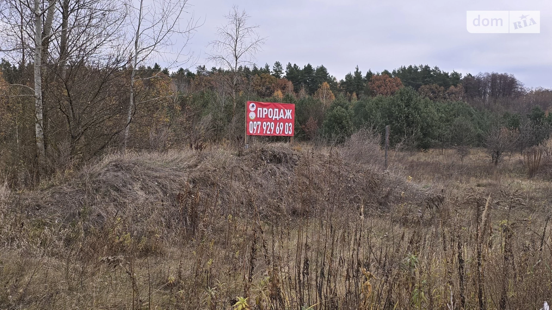 Продається земельна ділянка 124.22 соток у Житомирській області, цена: 160000 $ - фото 3