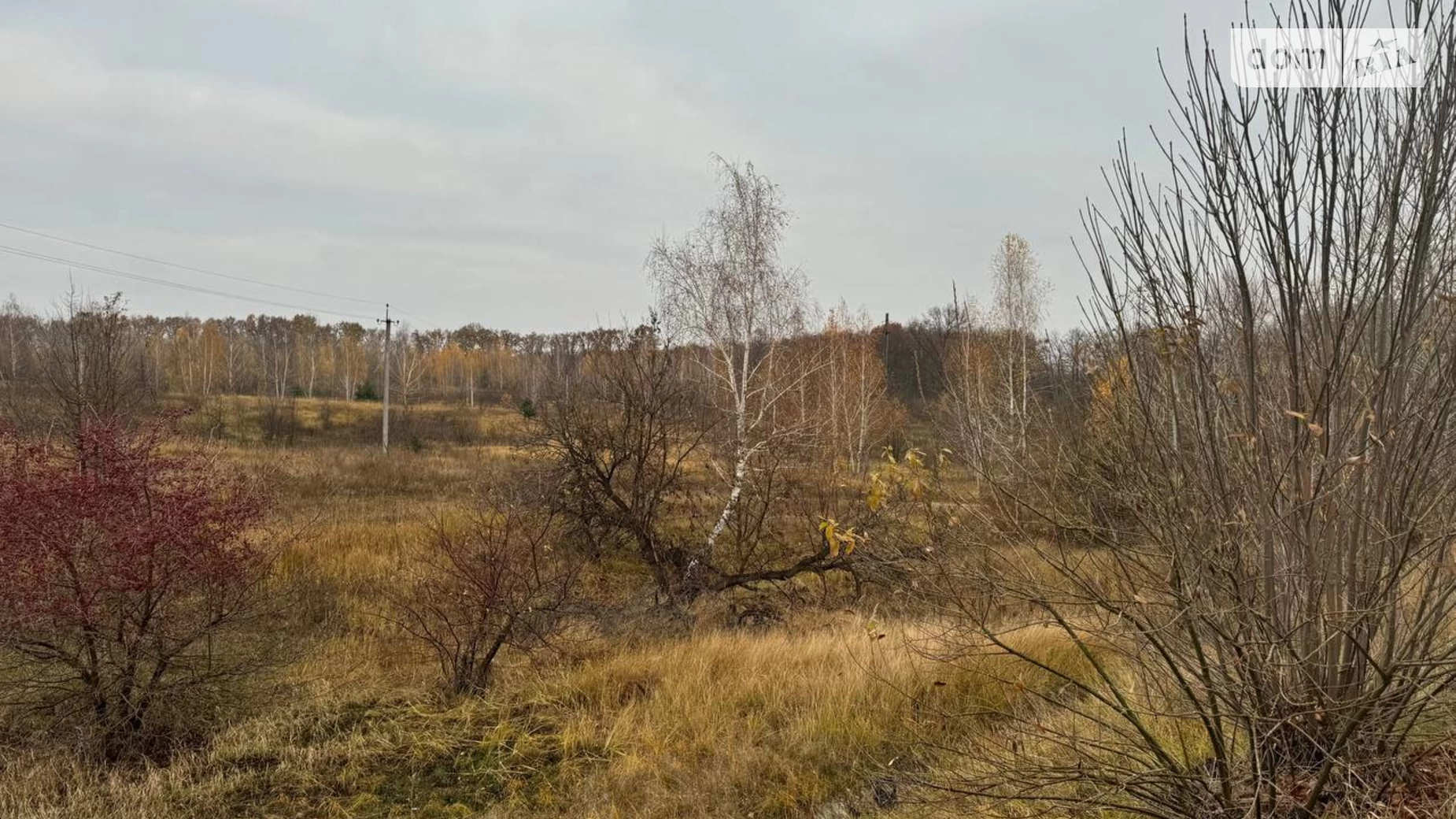 Діброва (Васильків), цена: 676800 $ - фото 3