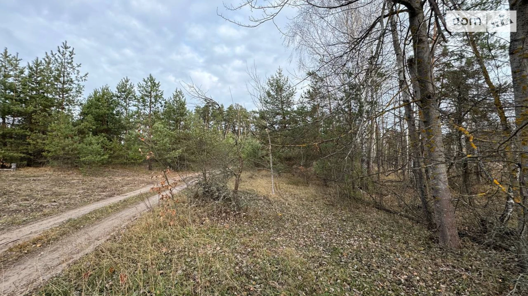 Продается земельный участок 100 соток в Киевской области, цена: 20000 $ - фото 4