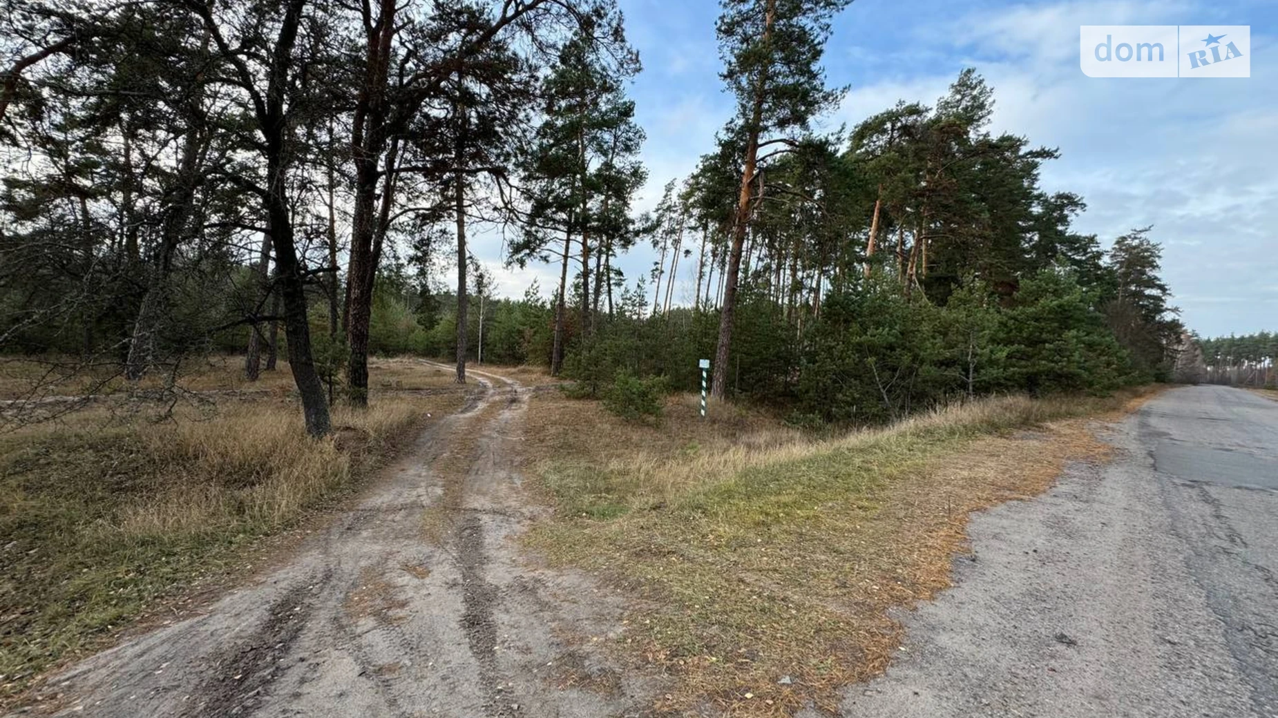 Продается земельный участок 100 соток в Киевской области, цена: 20000 $ - фото 5