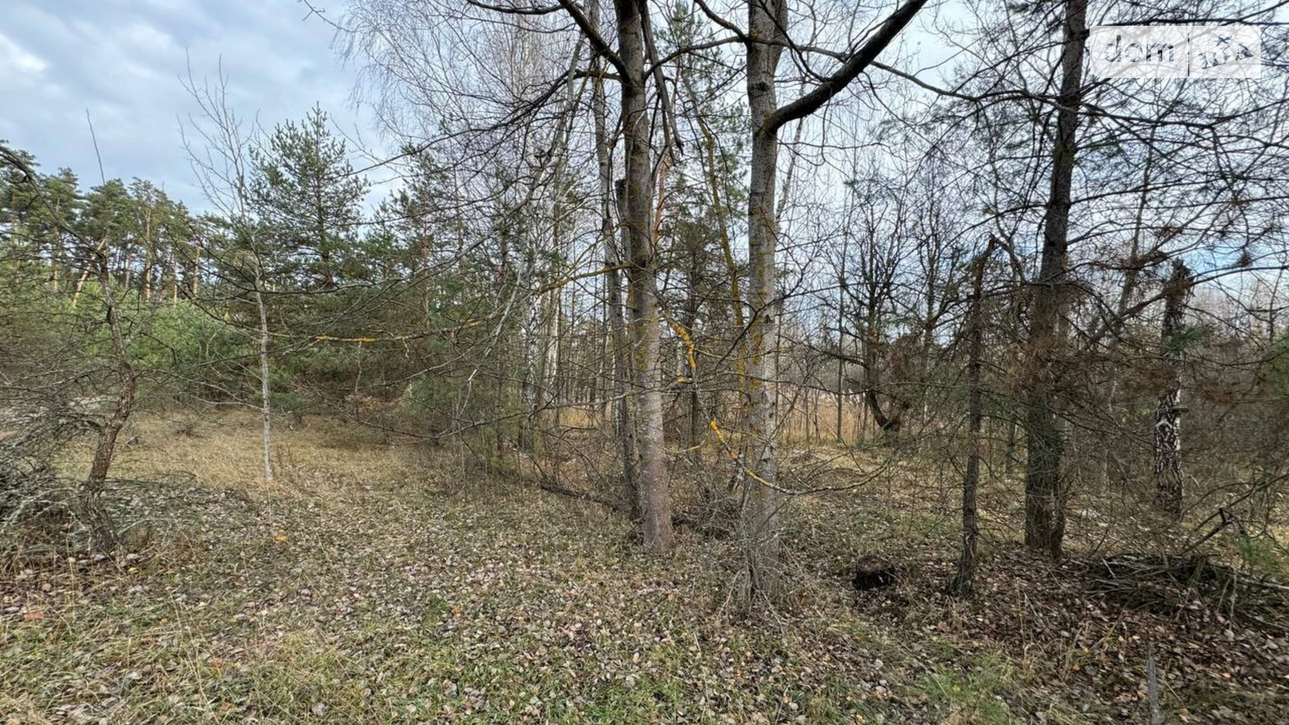 Продается земельный участок 100 соток в Киевской области, цена: 20000 $ - фото 2