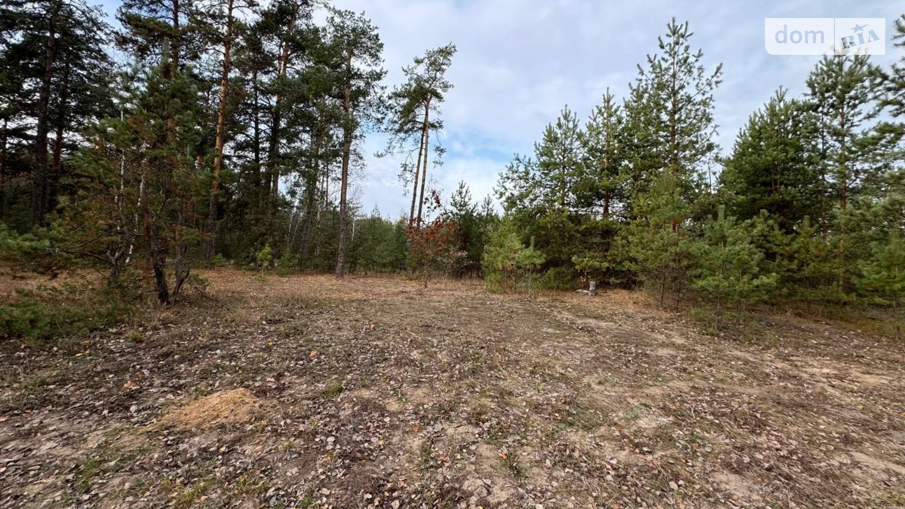 Продается земельный участок 100 соток в Киевской области, цена: 20000 $ - фото 3