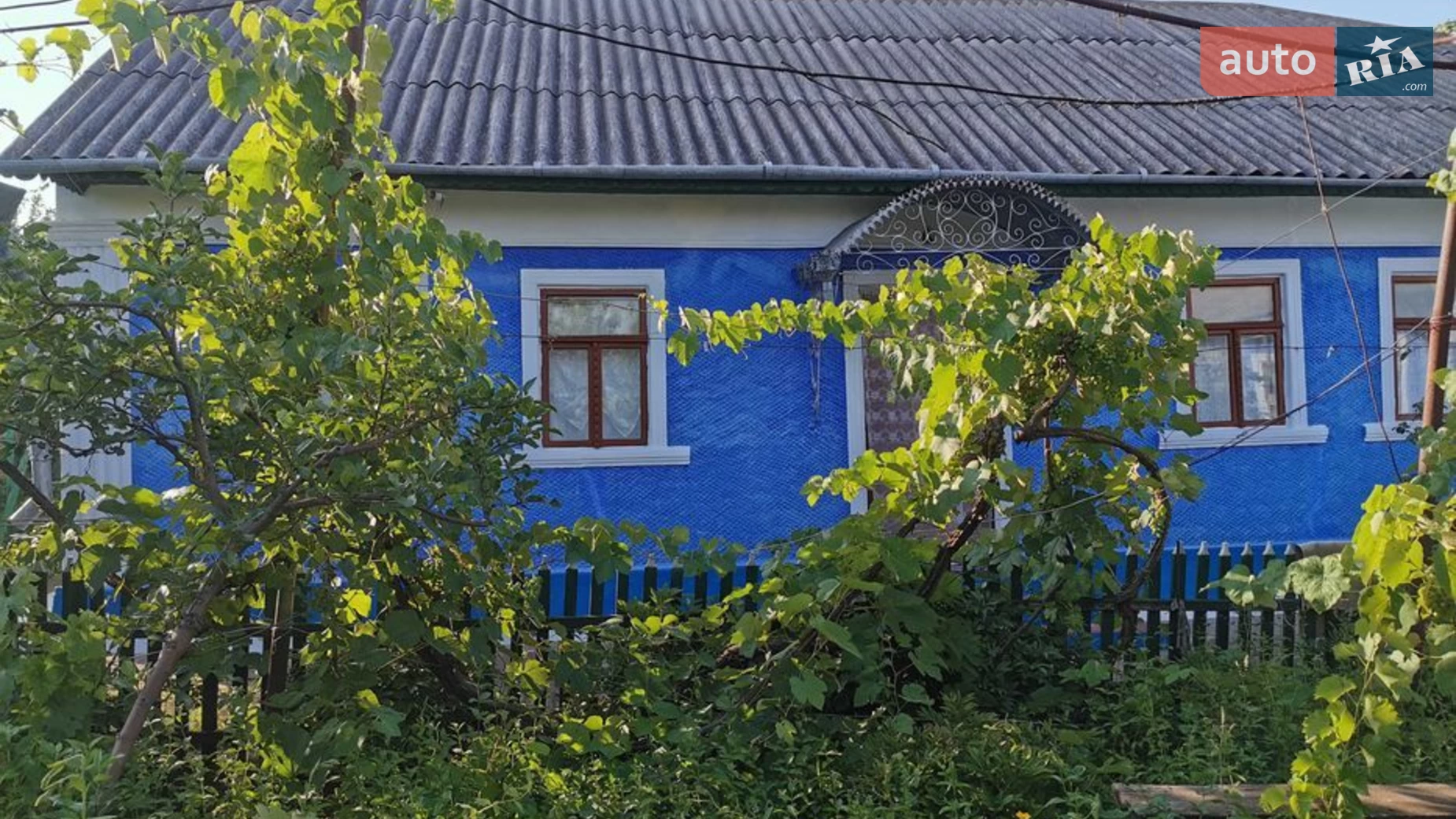 Довжанка, цена: 5000 $ - фото 2