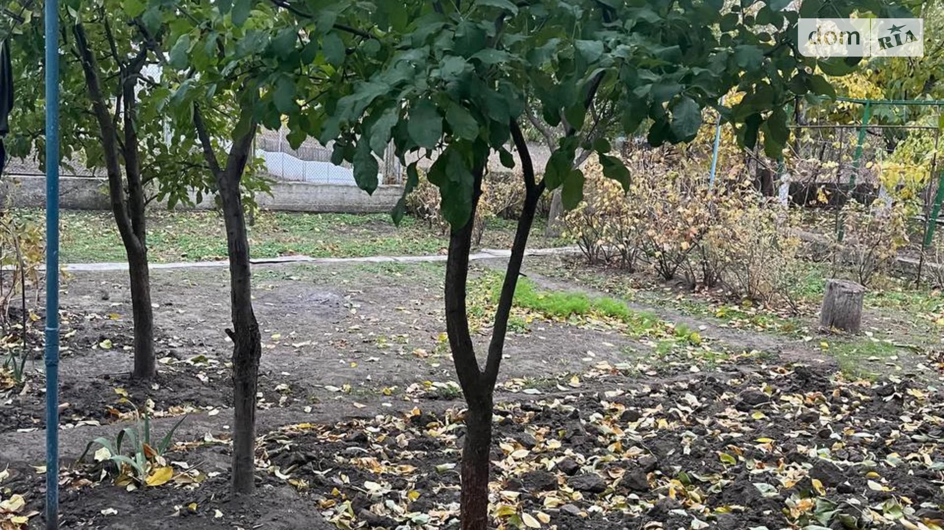 Сдается в аренду одноэтажный дом 60 кв. м с бассейном, цена: 8000 грн - фото 5