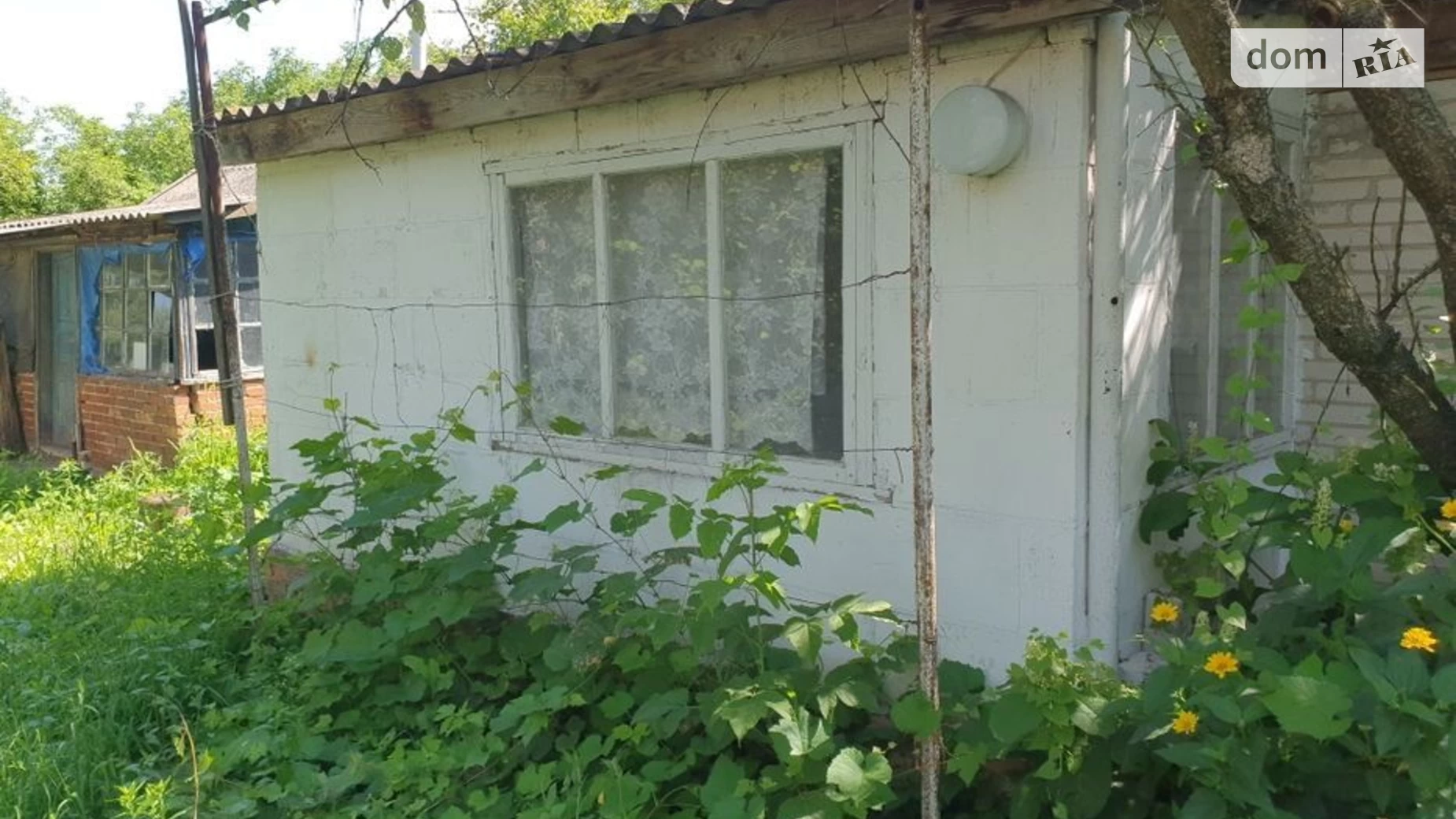 Продается одноэтажный дом 50 кв. м с беседкой, цена: 5500 $ - фото 3