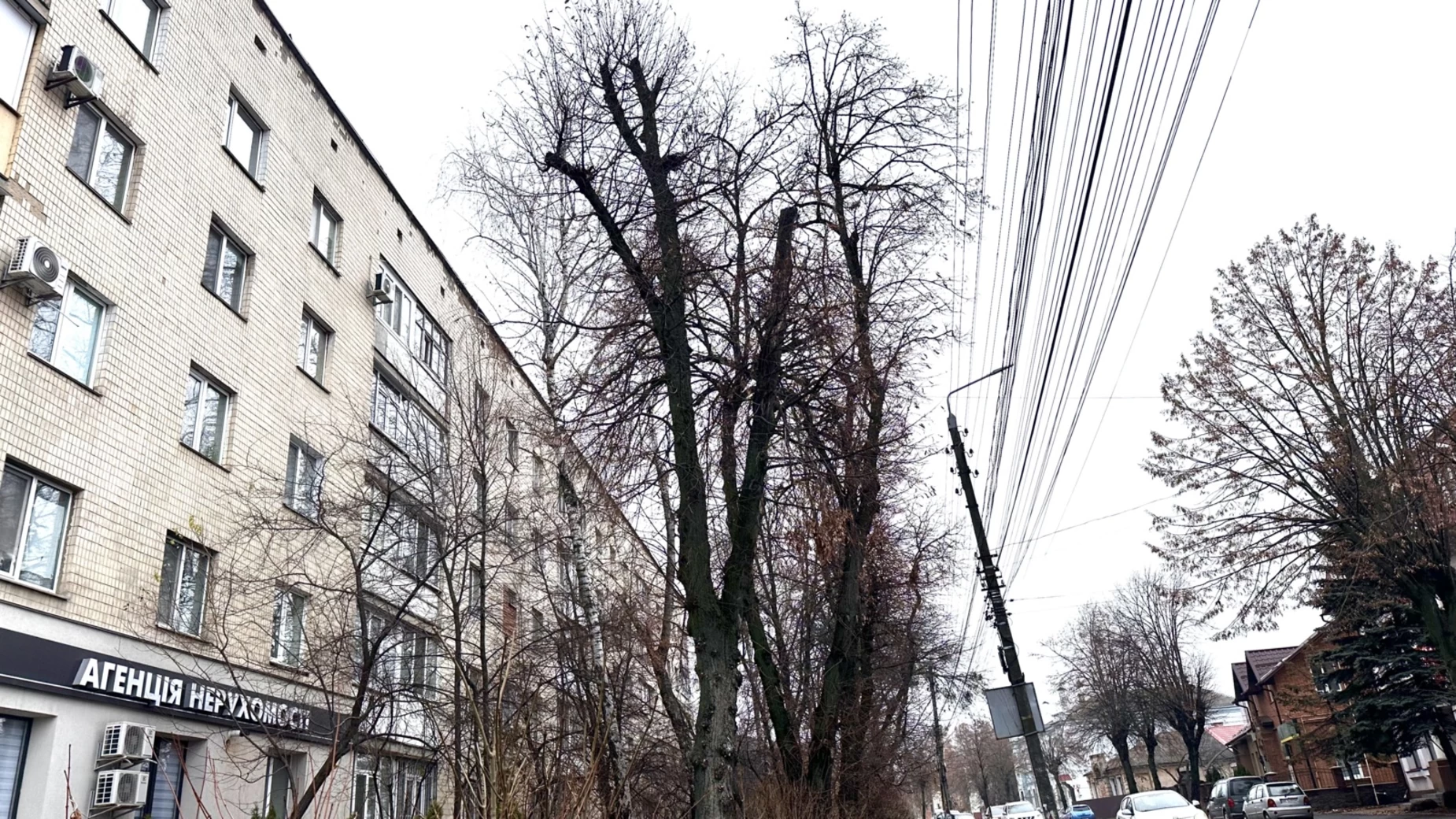 Продается 3-комнатная квартира 60 кв. м в Виннице, ул. Магистратская, 54 - фото 2