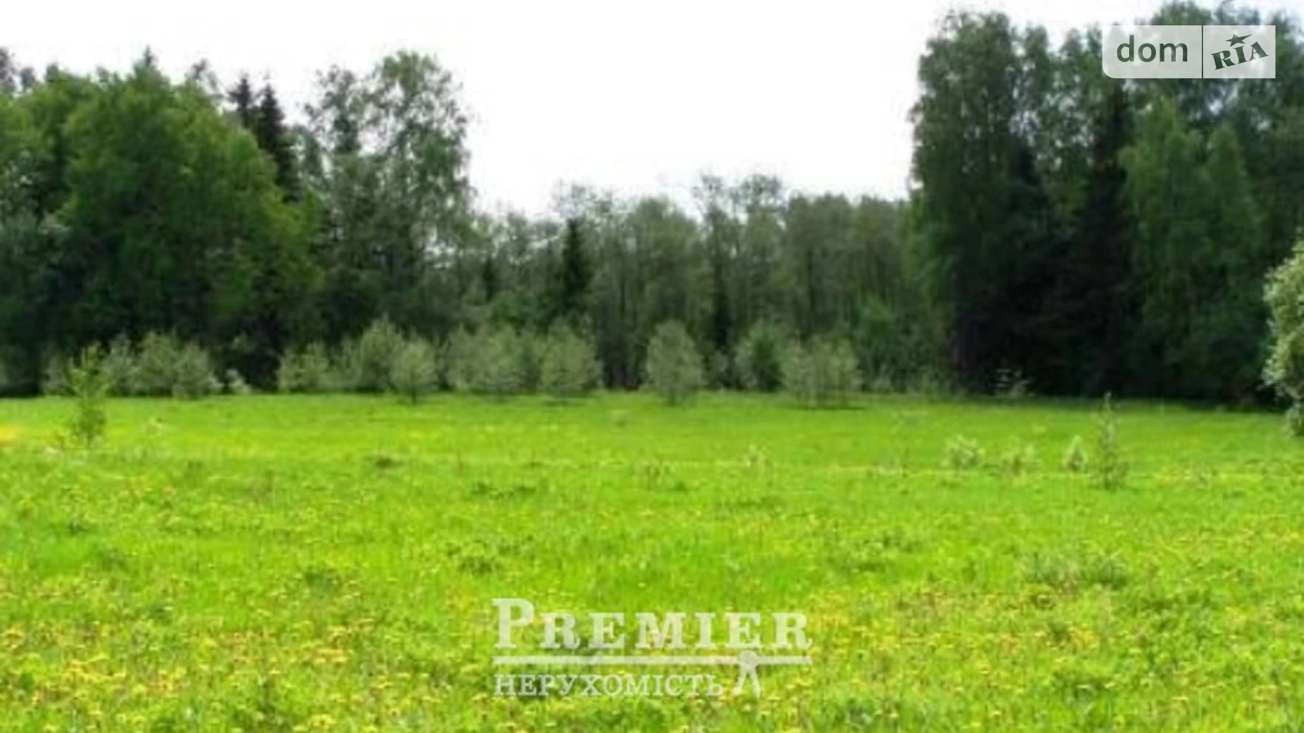 Продается земельный участок 33.34 соток в Одесской области, цена: 29000 $ - фото 2