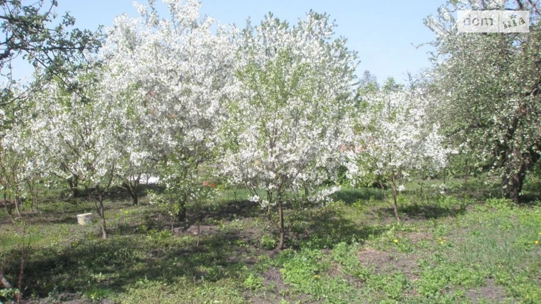 Продается одноэтажный дом 54 кв. м с участком, цена: 425000 грн - фото 5