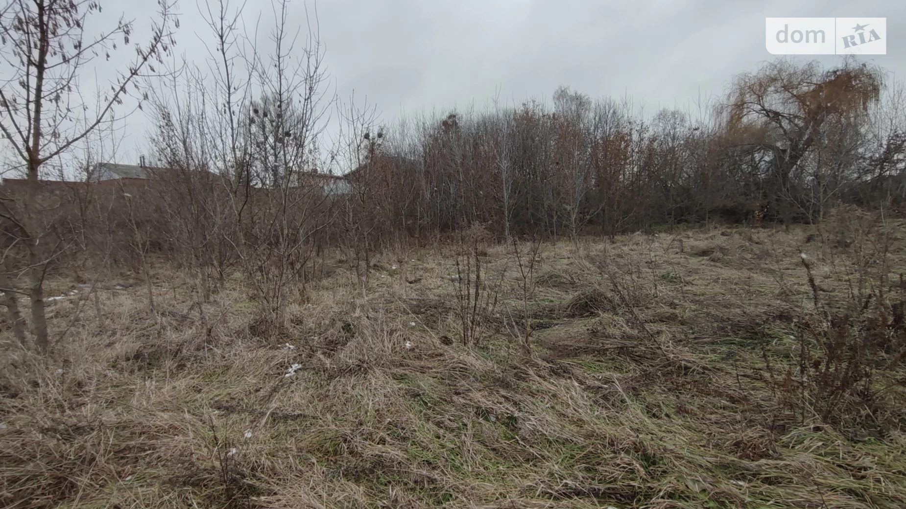 Педагогічна Зарванцы, цена: 76500 $ - фото 3